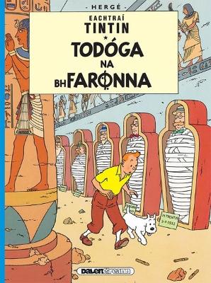 Book cover for Tintin: Todoga Na Bhfaronna (Irish)