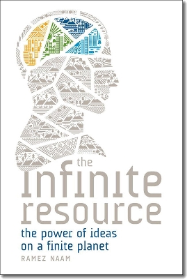 Book cover for The Infinite Resource