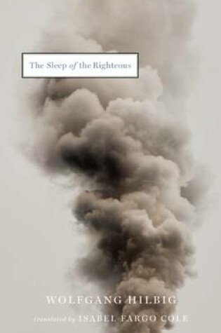 Cover of The Sleep of the Righteous