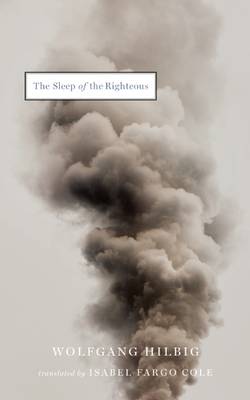 Book cover for The Sleep of the Righteous