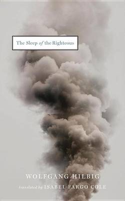 Book cover for The Sleep of the Righteous