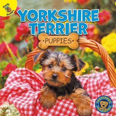Book cover for Yorkshire Terrier Puppies