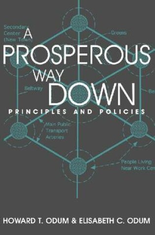 Cover of A Prosperous Way Down