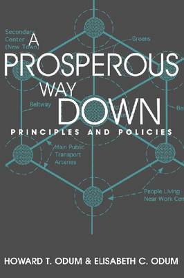 Book cover for A Prosperous Way Down