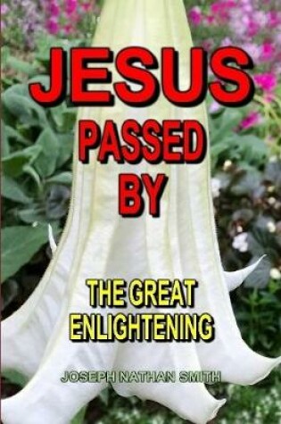 Cover of Jesus Passed By