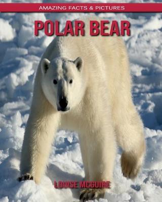 Book cover for Polar bear