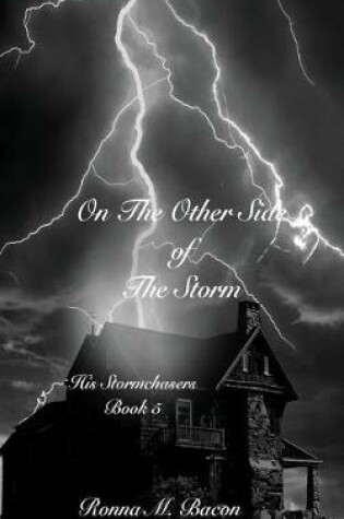 Cover of On The Other Side of The Storm