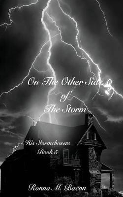 Book cover for On The Other Side of The Storm
