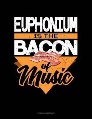 Book cover for Euphonium Is the Bacon of Music