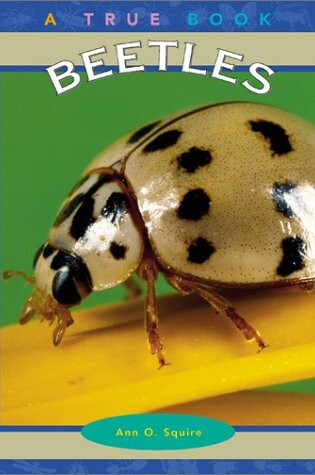 Cover of Beetles