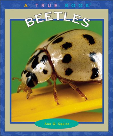 Cover of Beetles