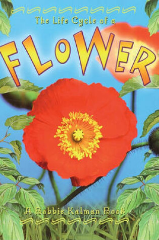Cover of The Life Cycle of a Flower
