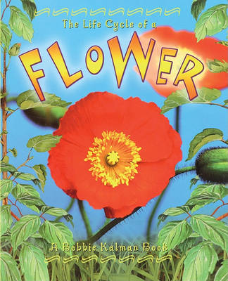 Book cover for The Life Cycle of a Flower