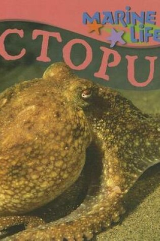 Cover of Octopus