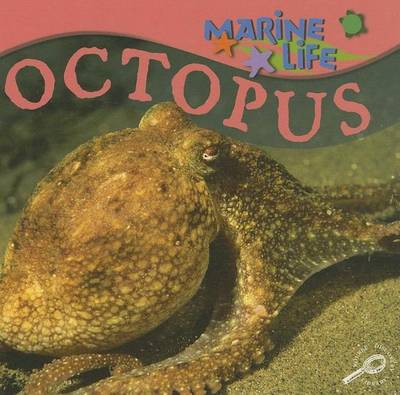 Book cover for Octopus