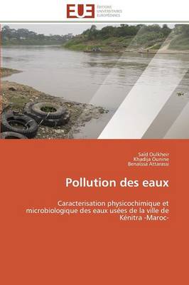 Book cover for Pollution Des Eaux