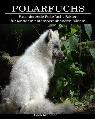 Book cover for Polarfuchs