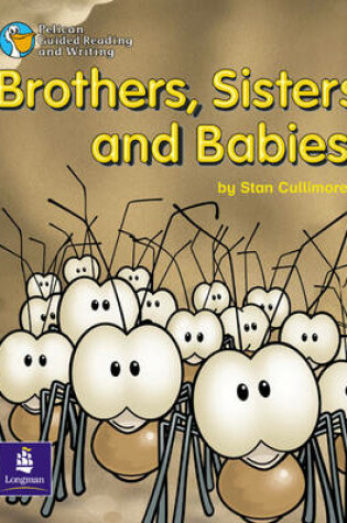 Cover of Brothers, Sisters and Babies! Year 2