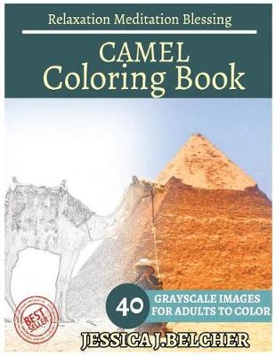 Book cover for Camel Coloring Book for Adults Relaxation Meditation Blessing