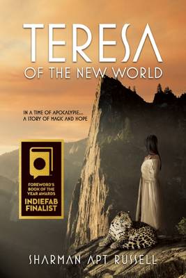 Book cover for Teresa of the New World