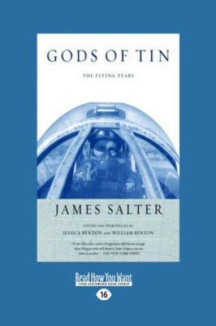 Cover of Gods of Tin
