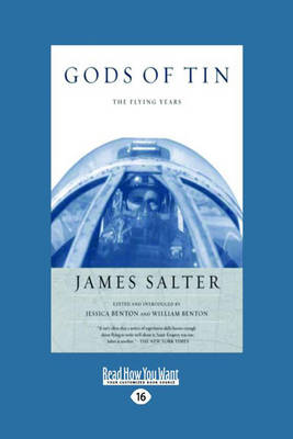 Book cover for Gods of Tin