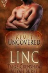 Book cover for Linc
