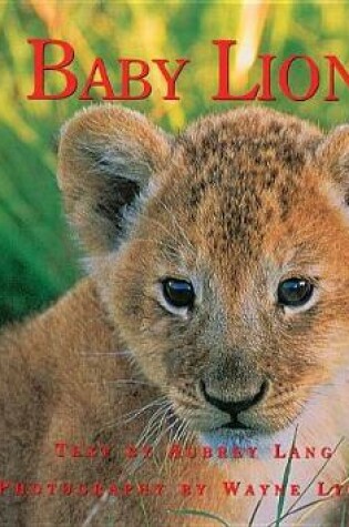 Cover of Baby Lion