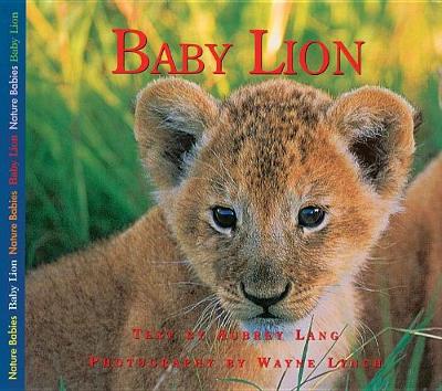 Book cover for Baby Lion