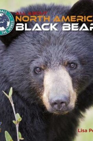 Cover of All about North American Black Bears