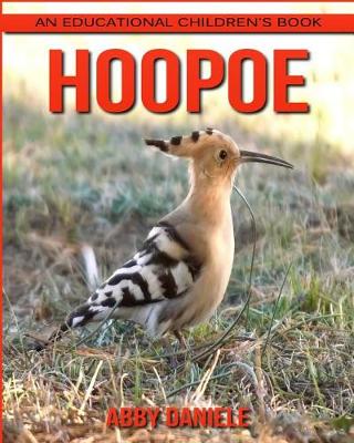 Book cover for Hoopoe! An Educational Children's Book about Hoopoe with Fun Facts & Photos