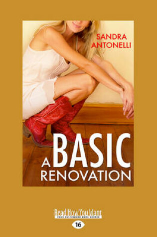 Cover of A Basic Renovation