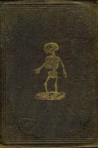 Cover of The Curse of Katmunkhet and the Light Fingered Jack