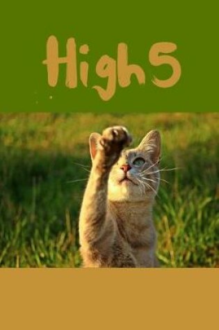 Cover of High 5
