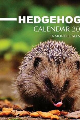 Cover of Hedgehogs Calendar 2017