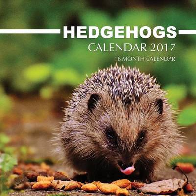 Book cover for Hedgehogs Calendar 2017