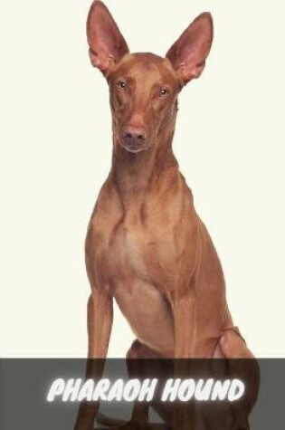 Cover of Pharaoh Hound