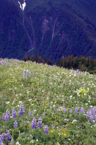 Cover of Website Password Organizer Mount Roberts Spring Wildflowers in Alaska