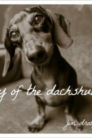 Cover of Day of the Dachshund