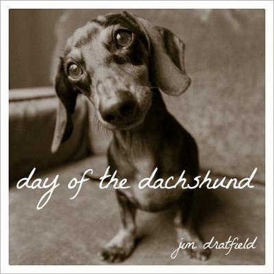 Book cover for Day of the Dachshund