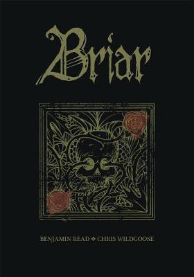 Book cover for Briar