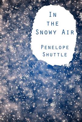 Book cover for In the Snowy Air