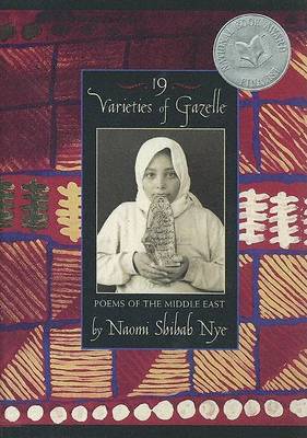 Book cover for 19 Varieties of Gazelle