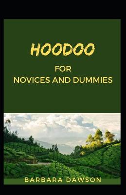Book cover for Hoodoo For Novices And Dummies