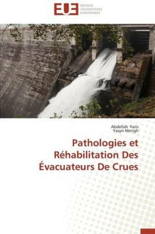 Cover of Pathologies Et R habilitation Des  vacuateurs de Crues