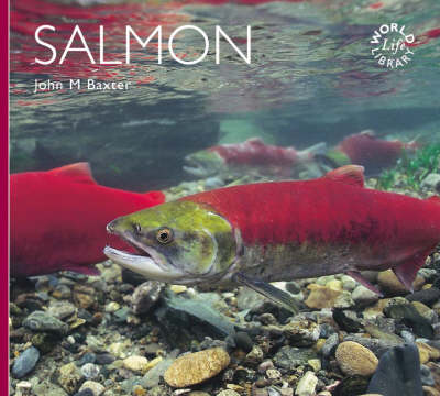 Cover of Salmon