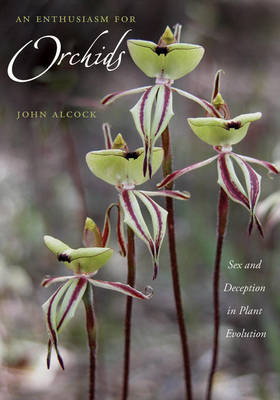 Book cover for An Enthusiasm for Orchids