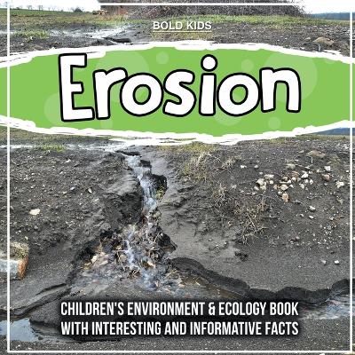 Book cover for Erosion