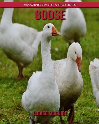 Book cover for Goose