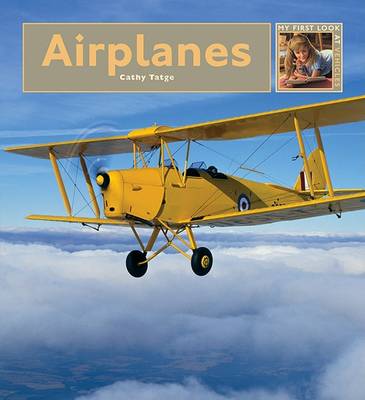 Book cover for Airplanes